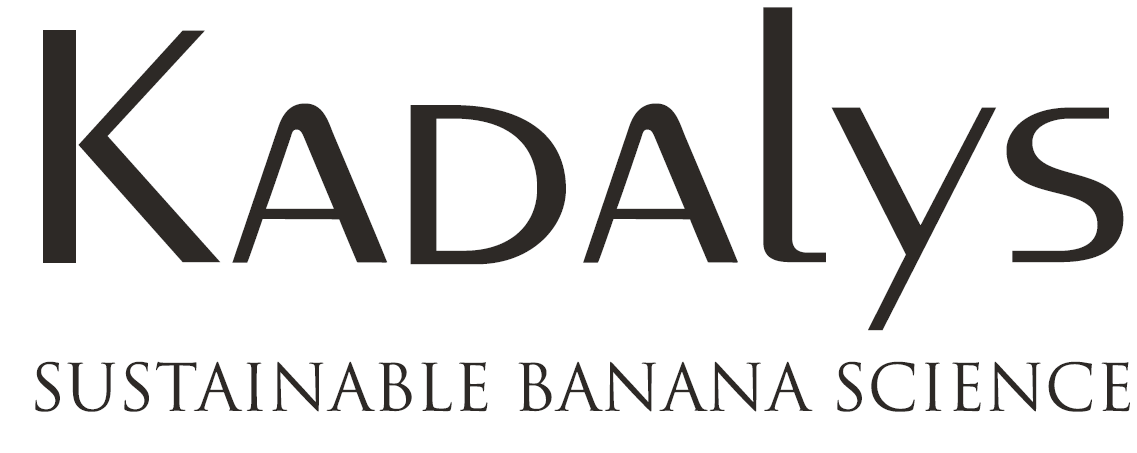 KADALYS