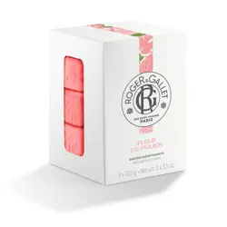FLEUR DE FIGUIER BOX SA SAPUNIMA 3x100 G