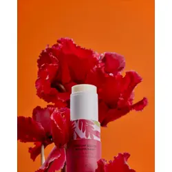 gingembre-rouge-cvrsti-miris-5-g-11978-0111969.webp